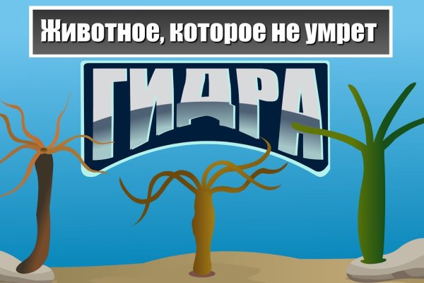 Кракен как войти через тор